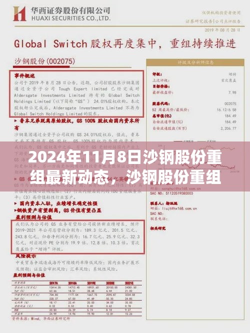 沙钢股份重组最新动态解析（入门到精通教程，2024年11月版）