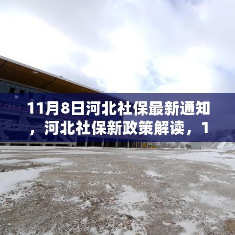 河北社保最新通知解读与深度分析，11月8日政策更新背后的意义