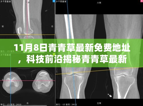 11月8日青青草最新免费地址揭秘，科技前沿引领生活变革