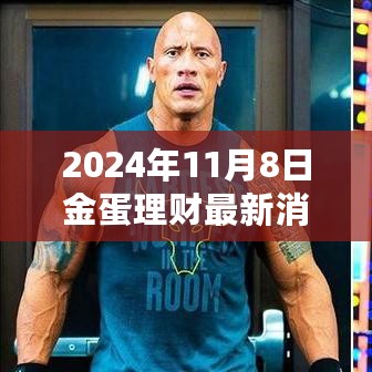 金蛋理财新纪元，学习变化之旅，拥抱自信与成就感的最新消息（2024年11月8日）