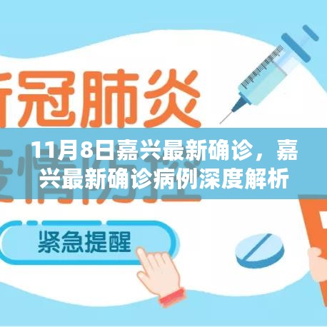 嘉兴最新确诊病例深度解析，背景、进展、影响及启示