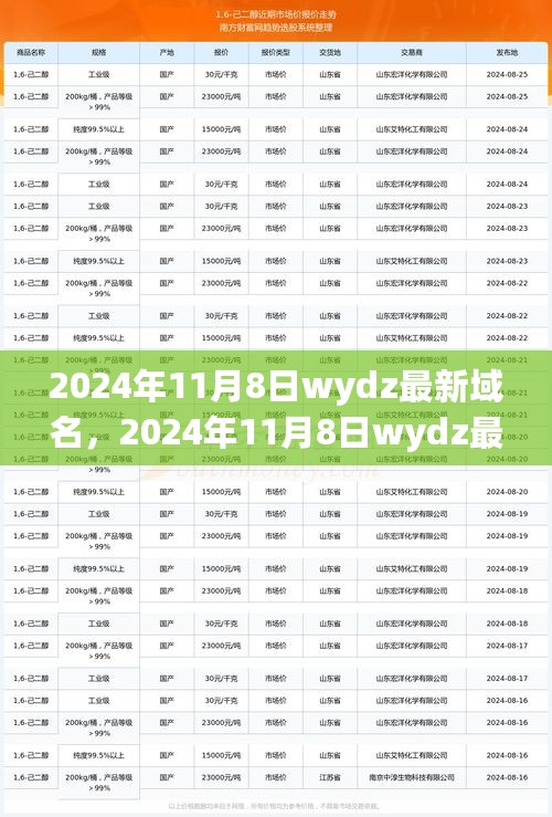 2024年11月8日WYDZ最新域名全面评测与介绍