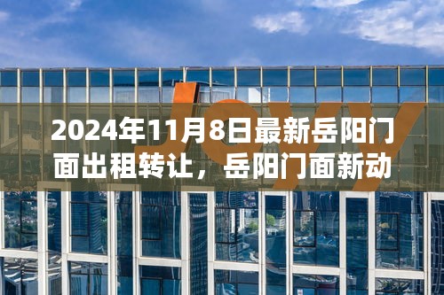 岳阳门面出租转让最新动态，2024年11月8日新动向与转让潮