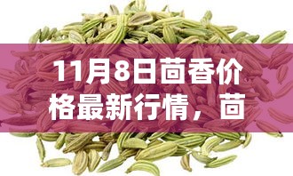 11月8日茴香价格行情大揭秘，最新走势分析与市场预测