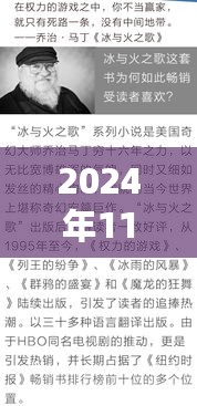 夜轻歌之韵，最新评析与深度解读（2024年11月8日最新更新）