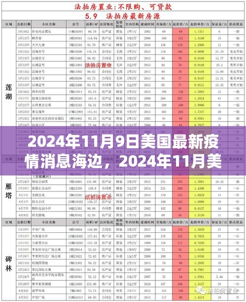 2024年11月美国疫情最新消息，海边防疫指南与必备技能