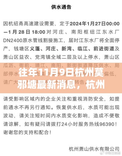 深度解读，往年11月9日杭州莫邪塘最新动态及其影响分析