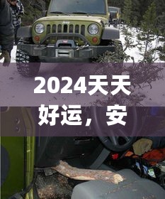 2024年11月10日 第81页