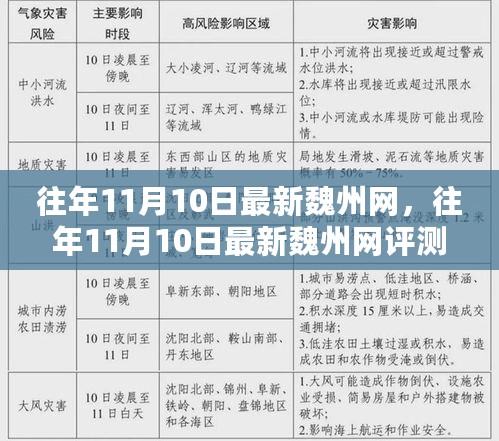 往年11月10日最新魏州网评测与介绍，深度了解这个网站的特点和优势