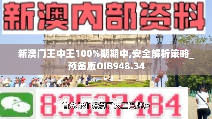 新澳门王中王100%期期中,安全解析策略_预备版OIB948.34