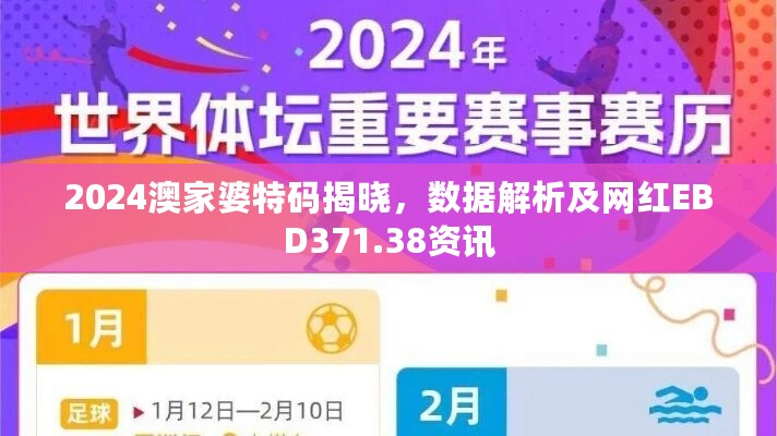 2024澳家婆特码揭晓，数据解析及网红EBD371.38资讯