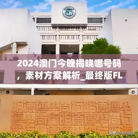 2024澳门今晚揭晓哪号码，素材方案解析_最终版FLN148.38