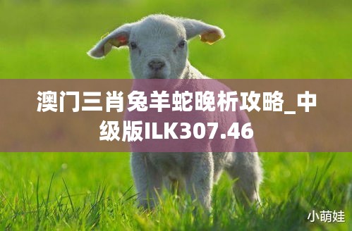 澳门三肖兔羊蛇晚析攻略_中级版ILK307.46