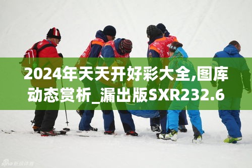 2024年天天开好彩大全,图库动态赏析_漏出版SXR232.69