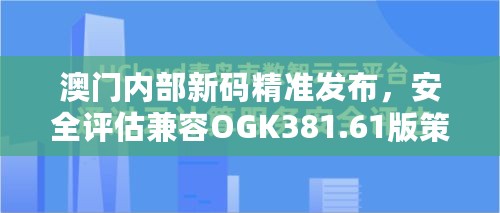 澳门内部新码精准发布，安全评估兼容OGK381.61版策略