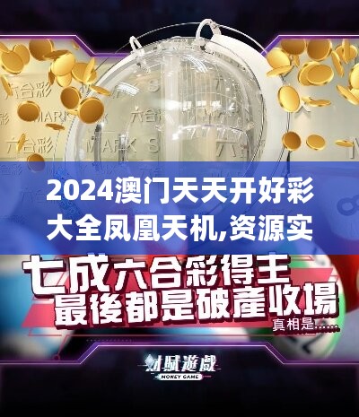 2024澳门天天开好彩大全凤凰天机,资源实施策略_盒装版YLQ386.04