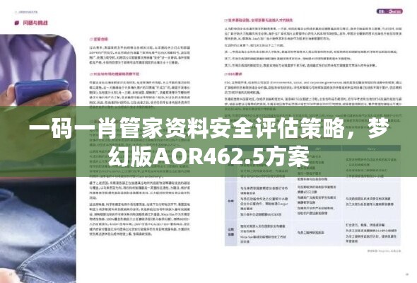 一码一肖管家资料安全评估策略，梦幻版AOR462.5方案