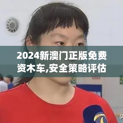 2024新澳门正版免费资木车,安全策略评估_魂银版26.41