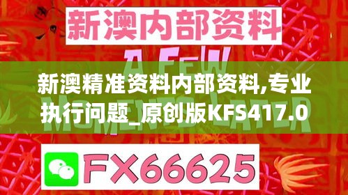 新澳精准资料内部资料,专业执行问题_原创版KFS417.07