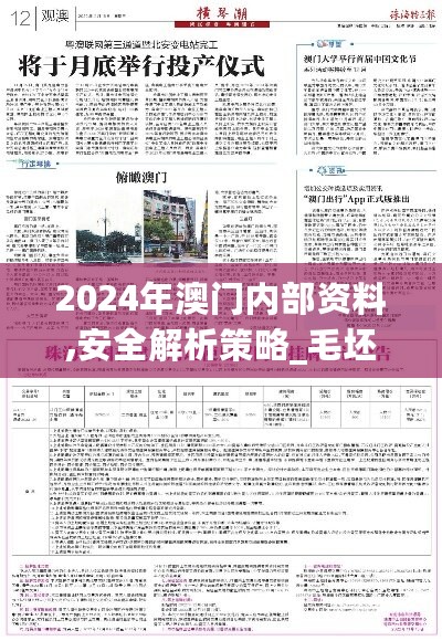 2024年澳门内部资料,安全解析策略_毛坯版FBJ255.83