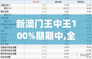 新澳门王中王100%期期中,全面解答解析_掌中版705.33