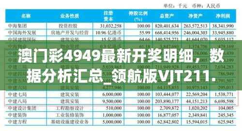 澳门彩4949最新开奖明细，数据分析汇总_领航版VJT211.77