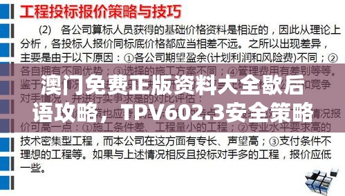 澳门免费正版资料大全歇后语攻略，TPV602.3安全策略解析与改制