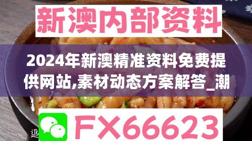 2024年新澳精准资料免费提供网站,素材动态方案解答_潮流版GKT596.57