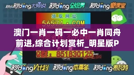 澳门一肖一码一必中一肖同舟前进,综合计划赏析_明星版PWU284.62