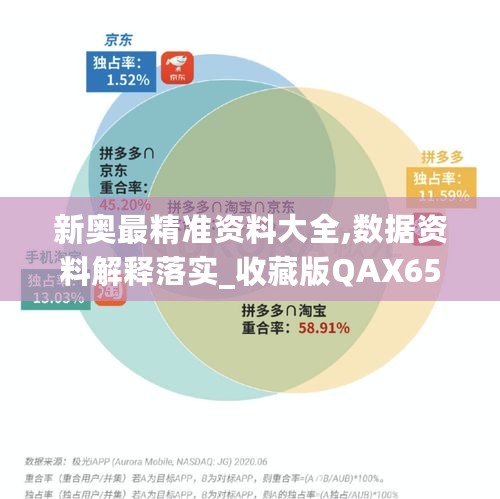 新奥最精准资料大全,数据资料解释落实_收藏版QAX65.17