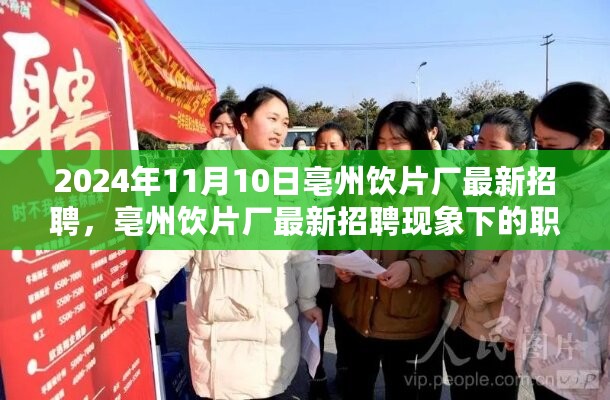 亳州饮片厂最新招聘，职场机遇与挑战展望于2024年11月10日