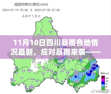 四川暴雨应对指南，从初学者到进阶用户的全方位应对建议（最新更新）