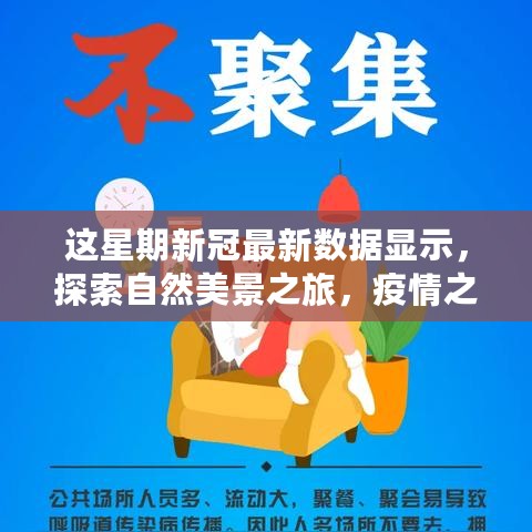 疫情之下探索自然美景之旅，最新新冠数据揭示寻找内心宁静与平和之旅