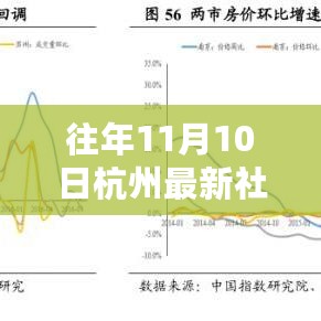 历年11月10日杭州社保基数调整解析，政策变化、影响及最新调整探讨