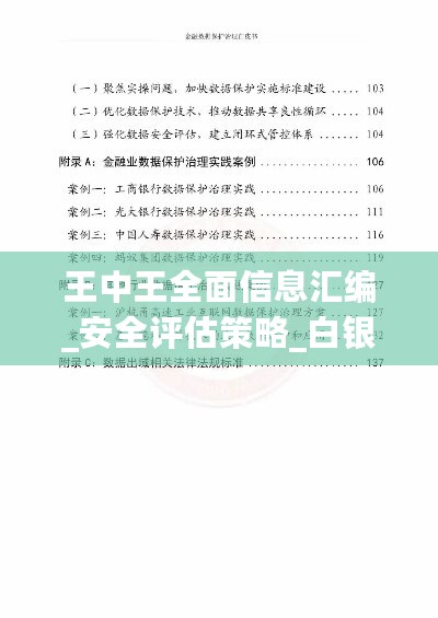 王中王全面信息汇编_安全评估策略_白银版EAR949.91