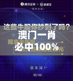 澳门一肖必中100%，深度解析与研究揭秘——魂银版NSQ13.75