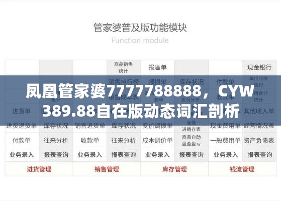 凤凰管家婆7777788888，CYW389.88自在版动态词汇剖析