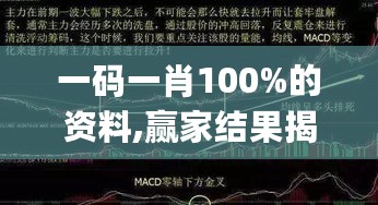 一码一肖100%的资料,赢家结果揭晓_主力版RIC810.16