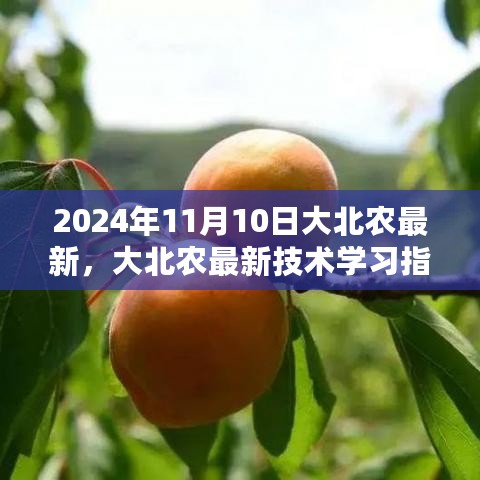 大北农最新技术学习指南，掌握农业科技进阶技能的进阶之路（2024年11月10日更新）