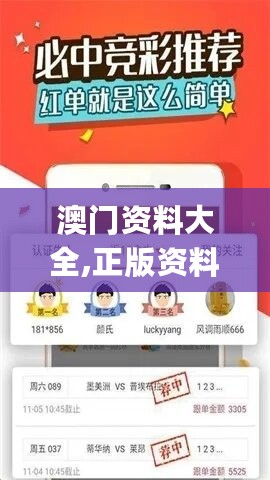 澳门资料大全,正版资料查询,综合评估分析_竞技版VDJ264.11