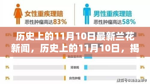 历史上的11月10日兰花新闻揭秘，探寻芳香之源的最新报道