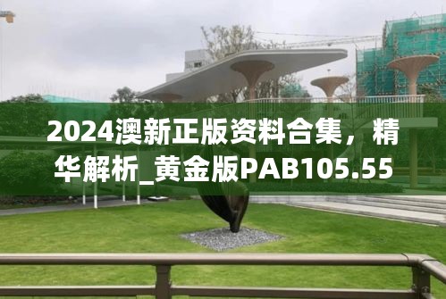 2024澳新正版资料合集，精华解析_黄金版PAB105.55