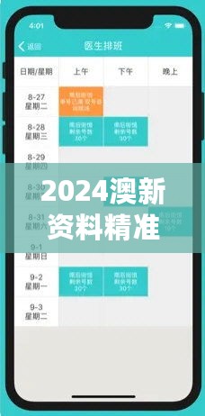 2024澳新资料精准版免费下载，安全评估方案视频教程SOI246.19