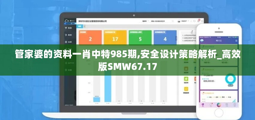 管家婆的资料一肖中特985期,安全设计策略解析_高效版SMW67.17