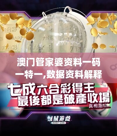 澳门管家婆资料一码一特一,数据资料解释落实_模拟版LTW25.94