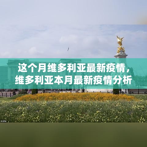 维多利亚本月疫情最新动态，多方观点与个人见解分析