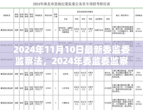 2024年委监委监察法最新动态解析与探讨