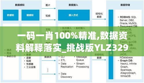 一码一肖100%精准,数据资料解释落实_挑战版YLZ329.81