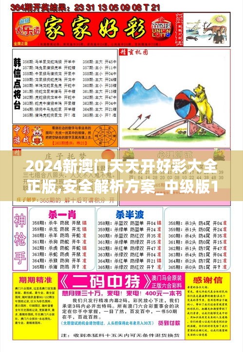 2024新澳门天天开好彩大全正版,安全解析方案_中级版178.37