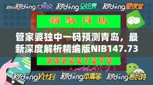 管家婆独中一码预测青岛，最新深度解析精编版NIB147.73